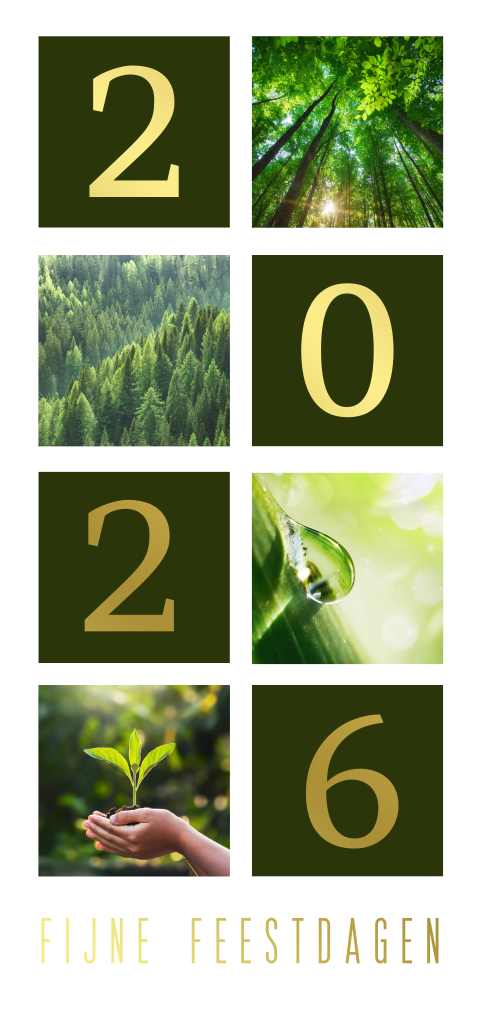 Groen zakelijke kerstkaart met foto's, goudfolie en logo