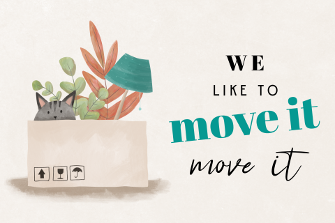 Verhuiskaart "We like to move it" met kat in verhuisdoos