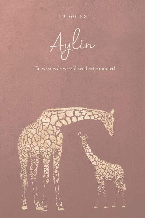Meisjes geboortekaartje voor een zusje met twee giraffen
