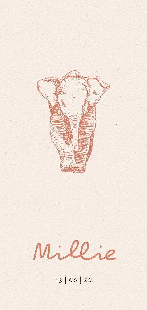 Lief en rustig meisjes geboortekaartje met olifant