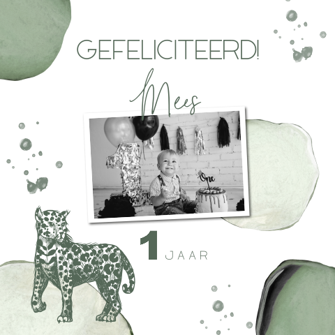 Verjaardagskaart jongen met foto, luipaard en aquarel bollen