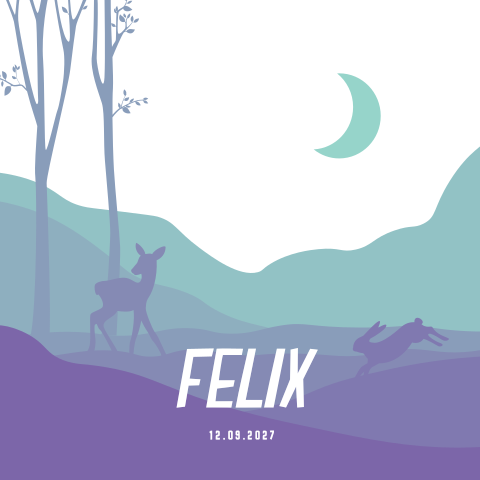 Kleurrijk bos geboortekaartje met bosdieren