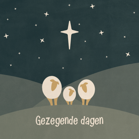 Christelijke kerstkaart schapen in weiland onder sterrennacht