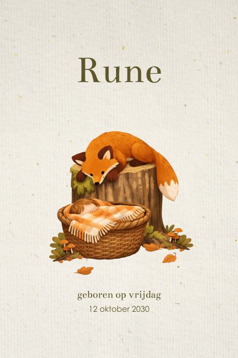 Unisex geboortekaartje met vos en baby in mandje