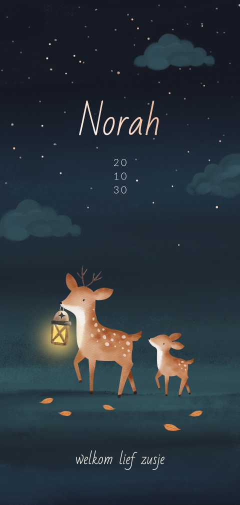 Zusje geboortekaartje met hertjes in de nacht