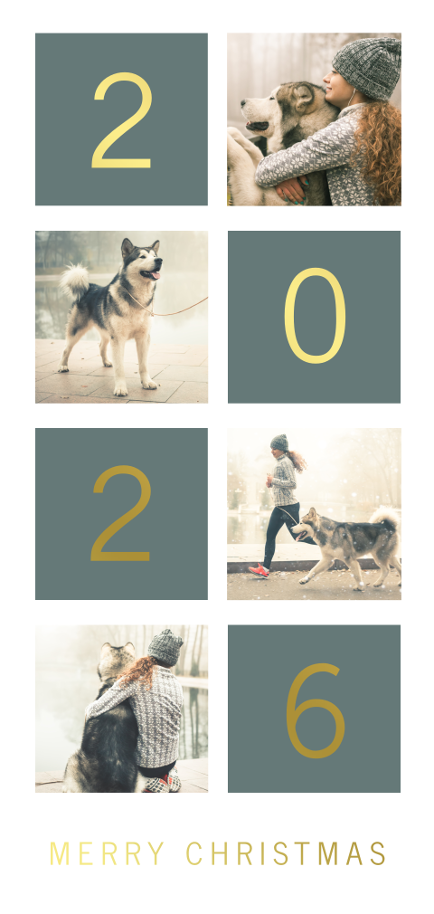 Moderne nieuwjaarskaart met fotocollage hond