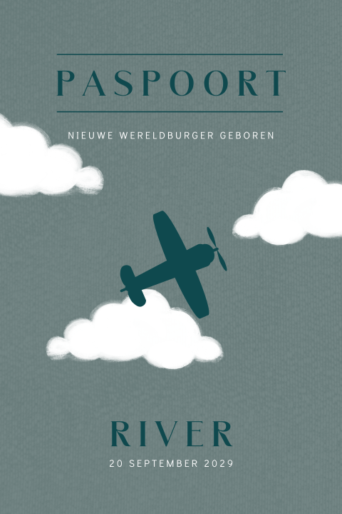 Paspoort geboortekaartje voor een jongen met vliegtuig tussen wolken