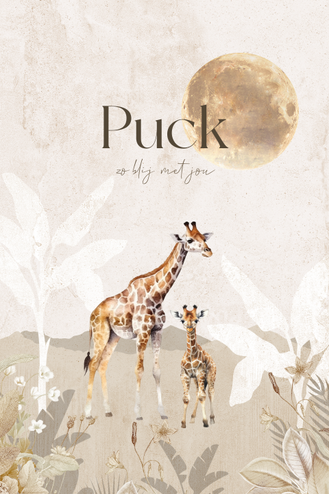 Unisex geboortekaartje met giraffen in de jungle en de maan