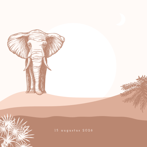 Geboortekaartje meisje met olifant en uitsnede van ondergaande zon