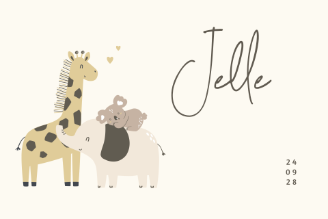Dieren geboortekaartje jongen met giraffe, olifant en kaola