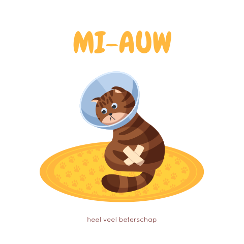 Kat met pleister beterschapskaart en de tekst 'mi-auw'