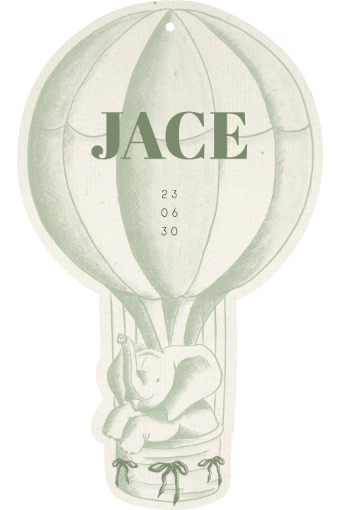 Opvallend geboortekaartje jongen in luchtballon vorm met olifant