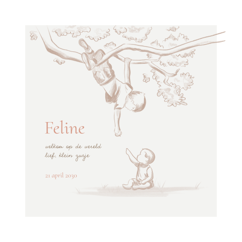 Geboortekaartje meisje met illustratie grote broer in boom
