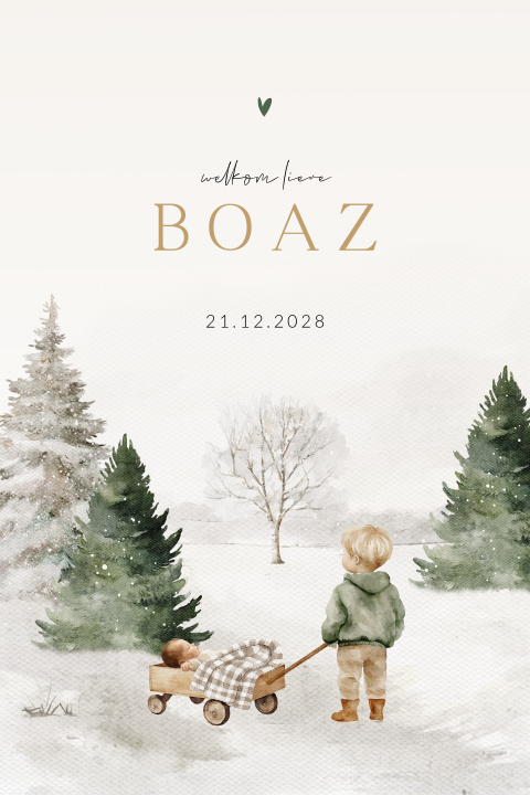 Geboortekaartje winter voor een jongen met een kar en bomen