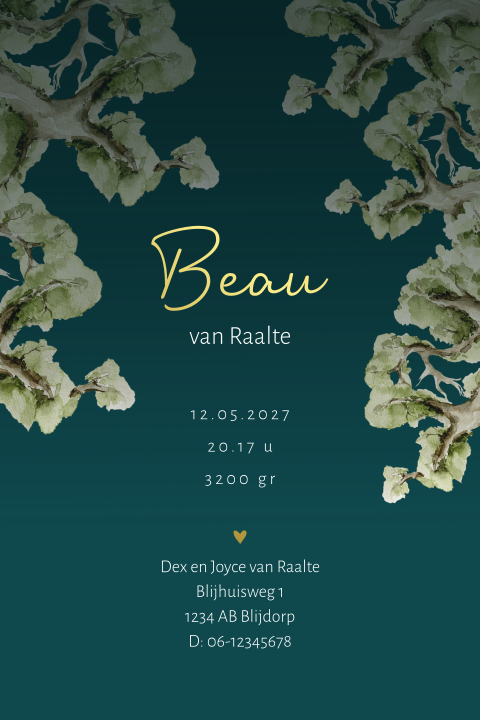 Kaart binnenkant