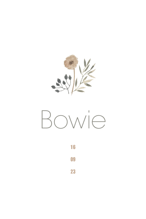 Jollein geboortekaartje Wildflowers in ovale vorm