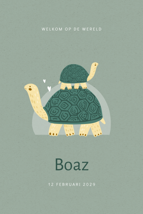 Schildpadden geboortekaartje jongen