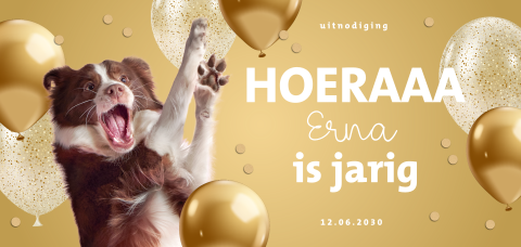 Grappige verjaardag uitnodiging met hond en confetti met ballonnen