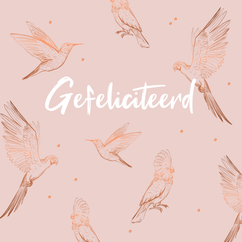 Stijlvolle verjaardagskaart met vogels