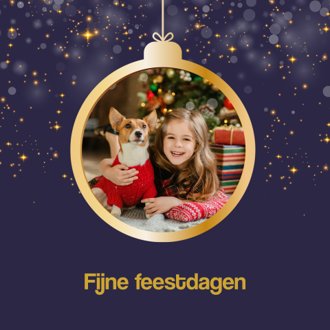 Sprankelende kerstkaart met kerstbal met foto hond