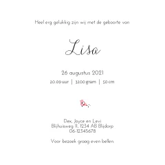 getekend geboortekaartje broer en zusje