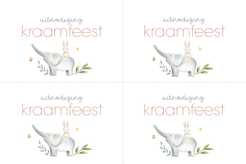 Mini kraamfeest uitnodigingen met lief olifantje