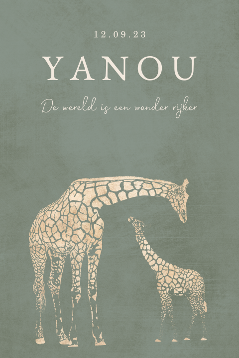 Jongens geboortekaartje voor een broertje met twee giraffen