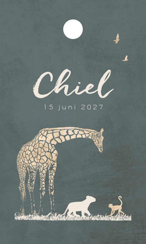 Label geboorte jongen safari dieren