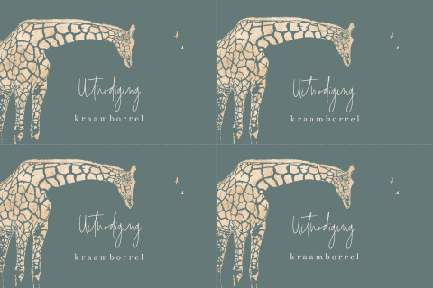 DIY uitnodiging kraamborrel minikaartjes jongen met giraffe