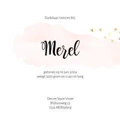 Derde kindje een meisje met twee broers