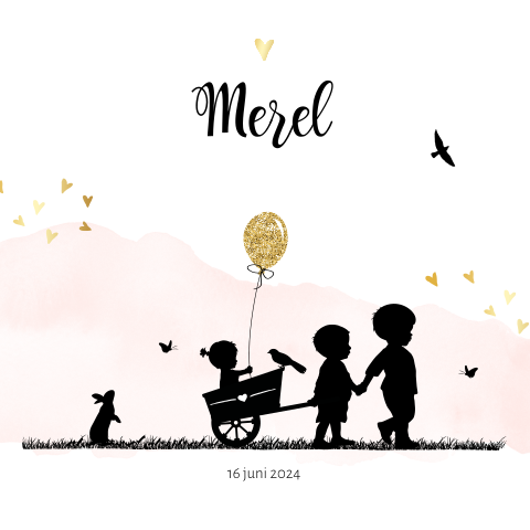 Derde kindje een meisje met twee broers