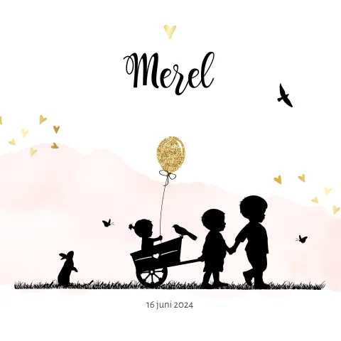 Derde kindje een meisje met twee broers