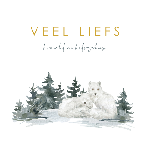 Beterschap en kracht wenskaart met vossen