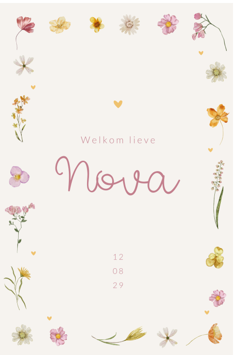 Geboorte raambord voor een meisje met bloemenkader met hartjes