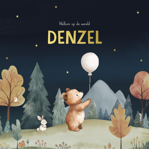Geboortekaartje jongen met beer in bos in de nacht met sterren