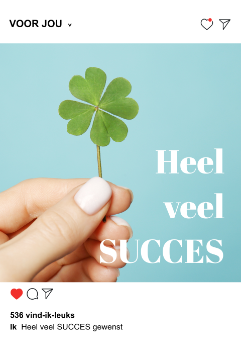 Succes wenskaart insta post met klavertje vier