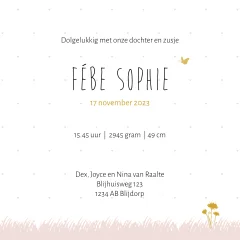 Lief silhouet geboortekaartje voor een zusje