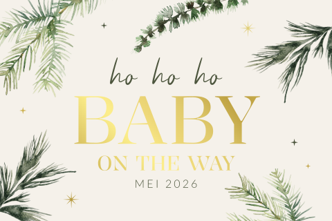 Ho, ho, ho baby on the way aankondiging zwangerschap met dennentakken