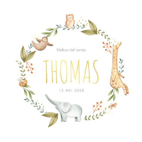 Goudfolie en dieren in een cirkel geboortekaartje jongen