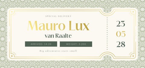 Ticket geboortekaartje jongen met mediterraans patroon en foliedruk