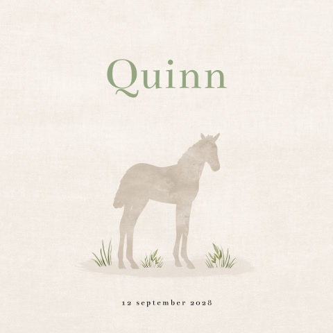 Paard geboortekaartje unisex met silhouet veulen