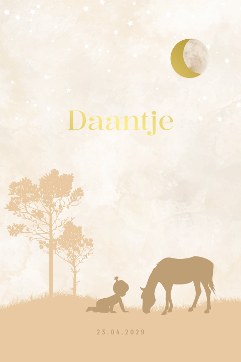 Meisje silhouet geboortekaartje met paard, maan en foliedruk