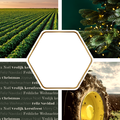Agrarische zakelijke kerstkaart 2026 met uitsnede en logo