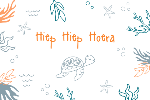 Verjaardagskaart met schildpad in de zee voor een kind