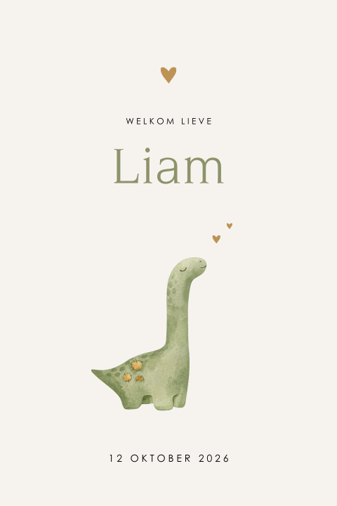 Lief jongens geboortekaartje met dinosaurus