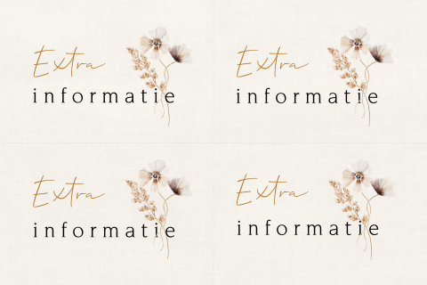 Minikaartjes trouwen extra informatie met aquarel bloem