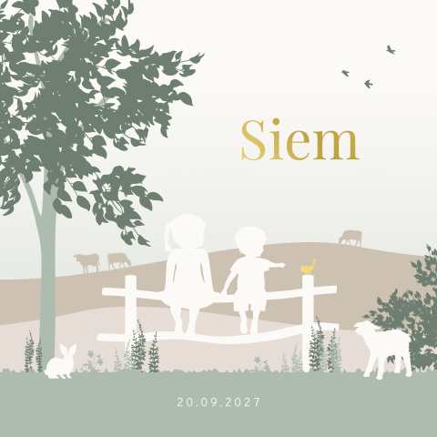 Grote zus met broer en boerderijdieren geboortekaartje met silhouet