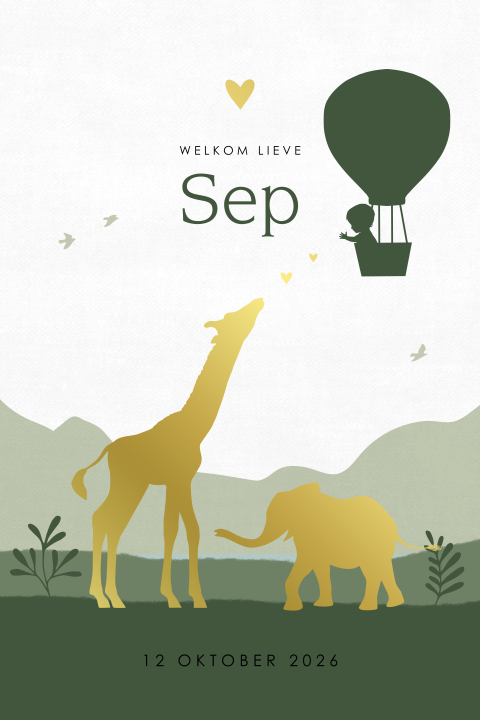 Silhouet geboortekaartje jongen in luchtballon met dieren in goudfolie
