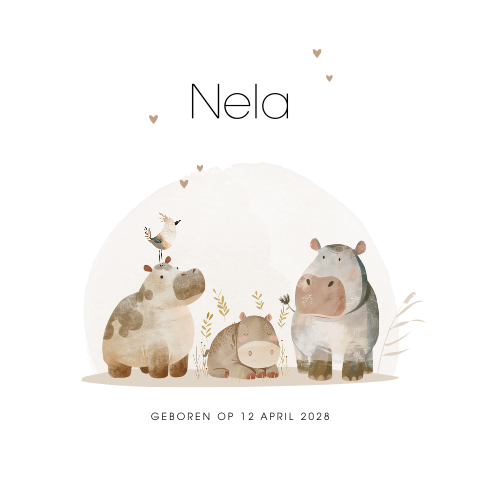 Schattig unisex geboortekaartje met nijlpaard familie