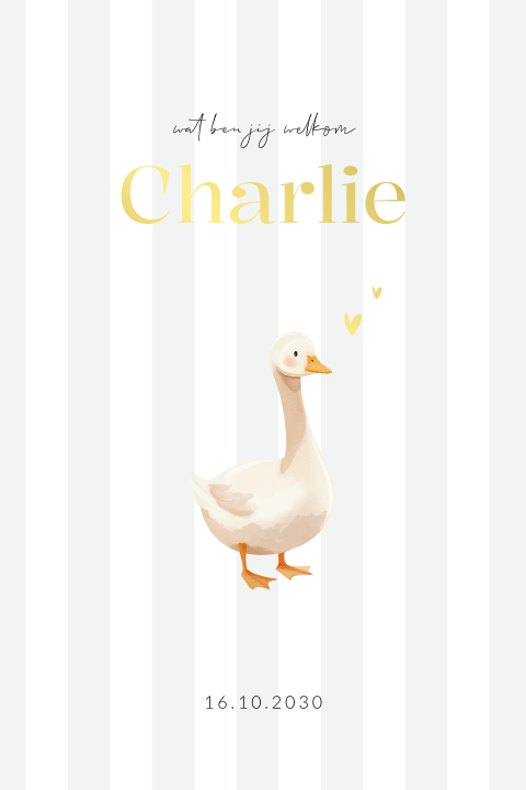 Geboortekaartje voor een jongen met strepen en eend 